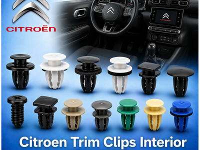 Citroen Trim Clips Interior