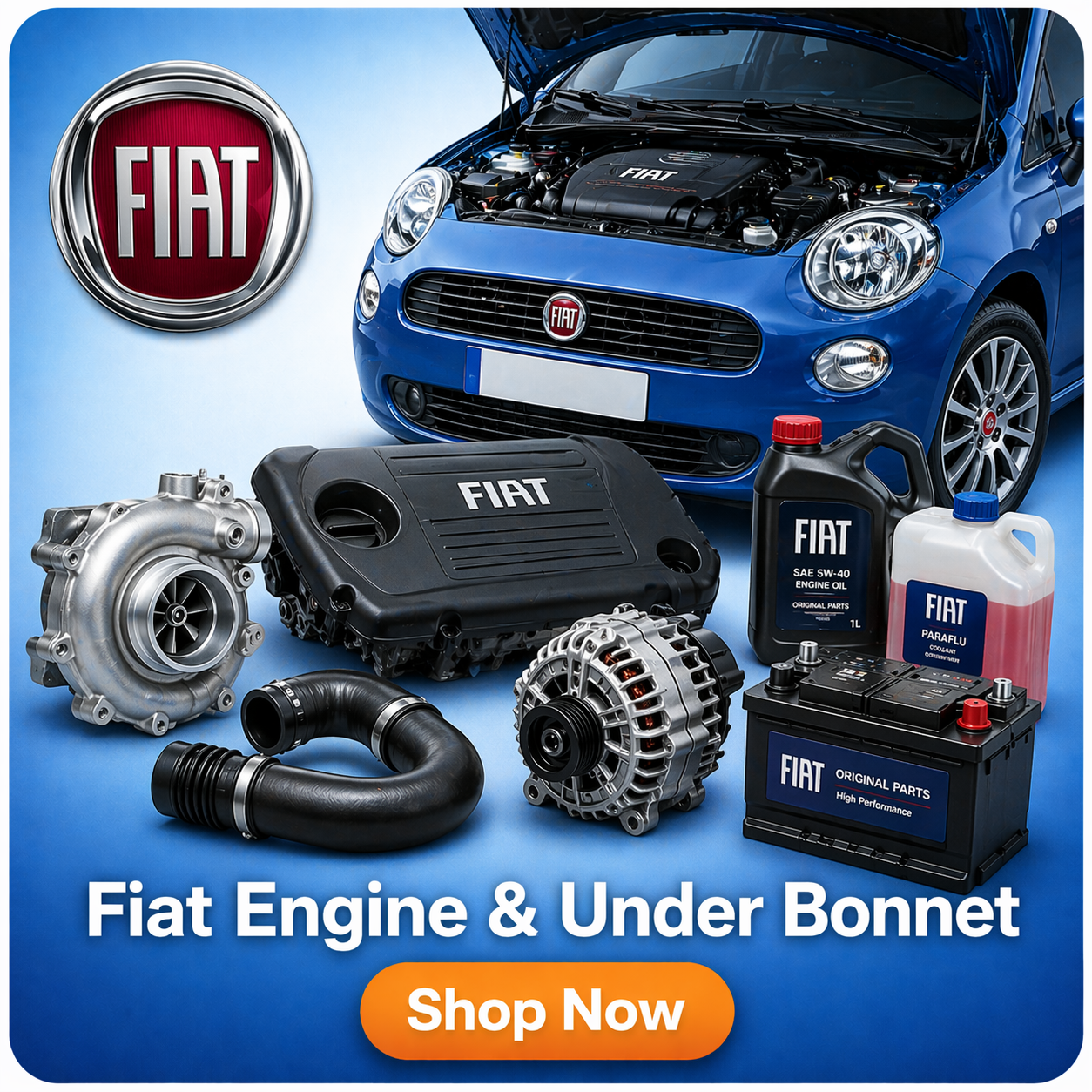 Fiat Engine & Under Bonnet – PSR9Line