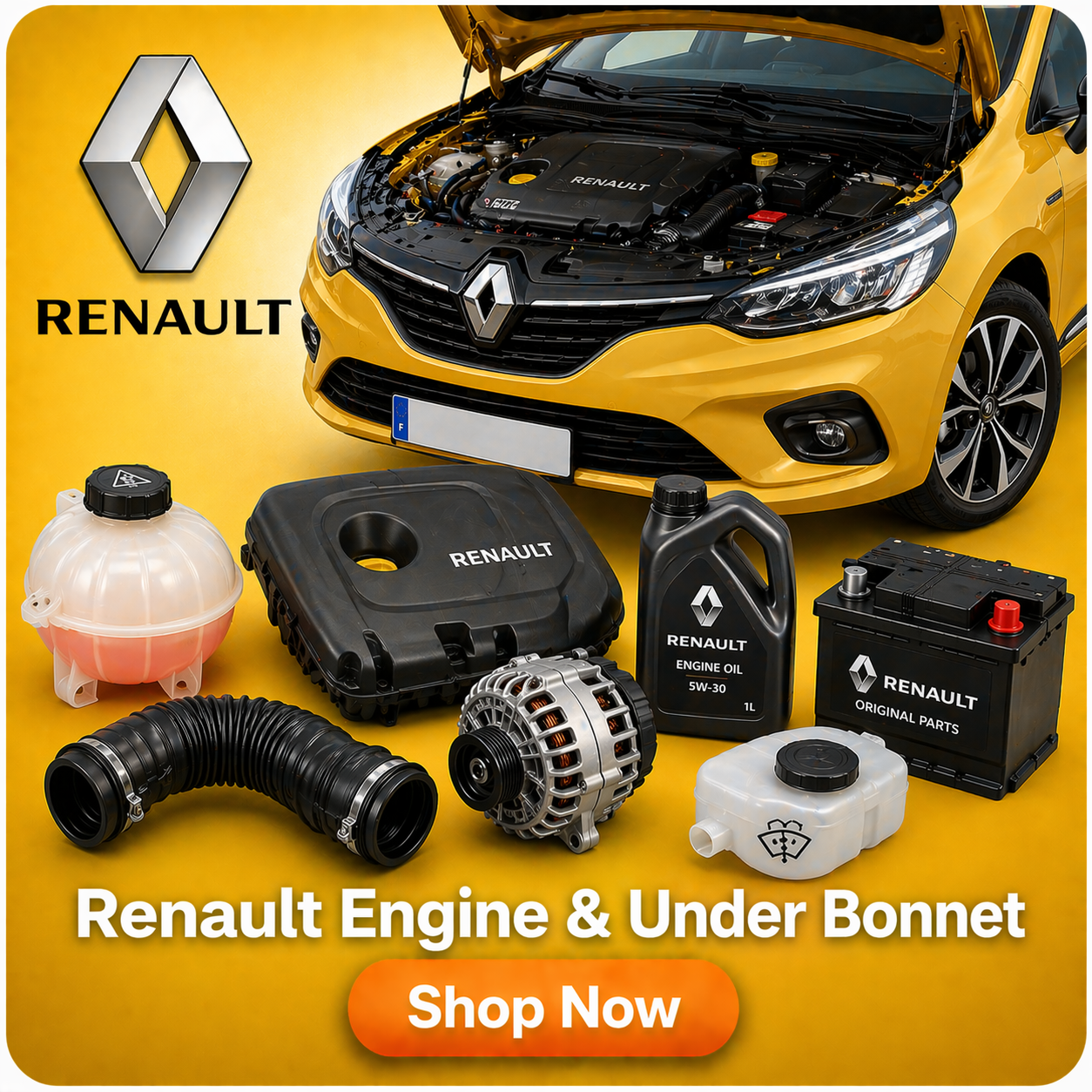 Renault Engine & Under Bonnet – PSR9Line
