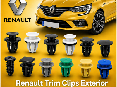Renault Trim Clips Exterior