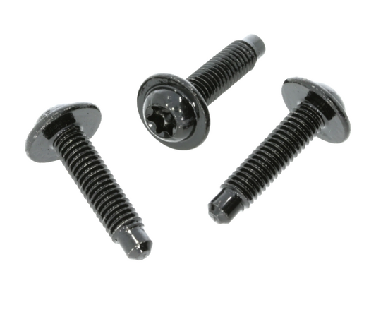 M6 x 30mm Torx Bolt - Black Trim & Body Panel Fastener N90969901