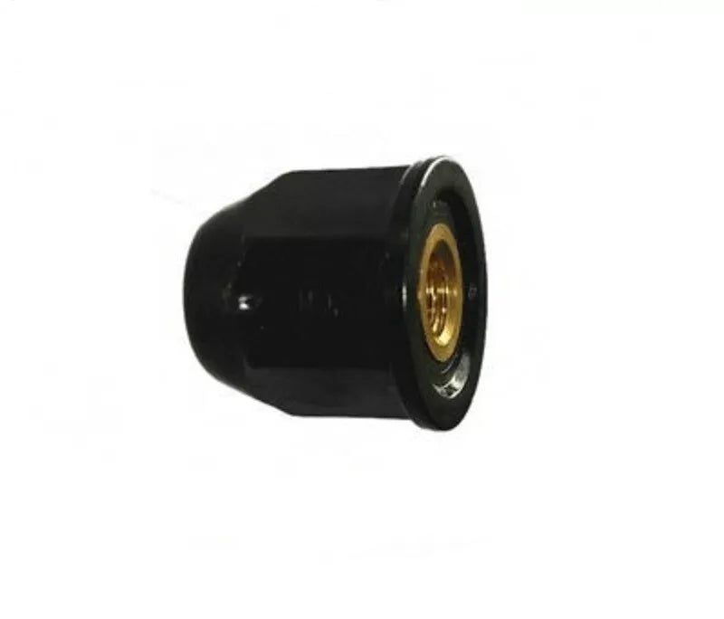 MINI M4 Plastic Coated Brass Trim Nut - 07130702715 / Honda 75307-SN7-000