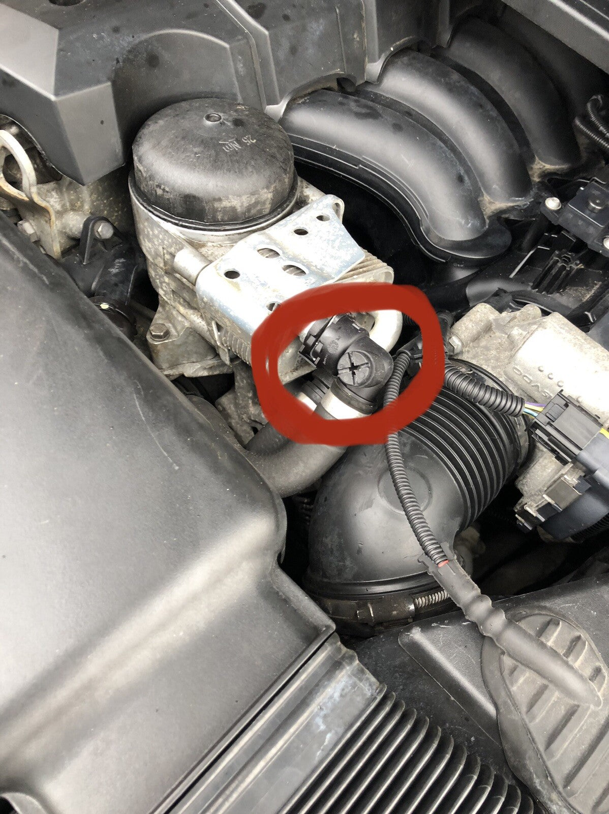 BMW E87 E90 E60 E46 E38 E53 E83 Radiator Coolant Breather Bleed Screw 3