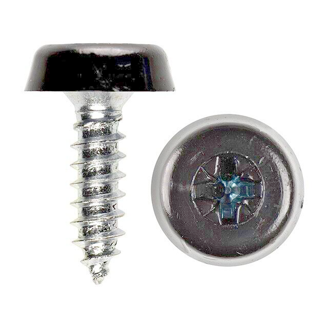 Registration Plate Fixing Kit  - Plastic Cap Screws x4 Moulded Head Self Thread.3