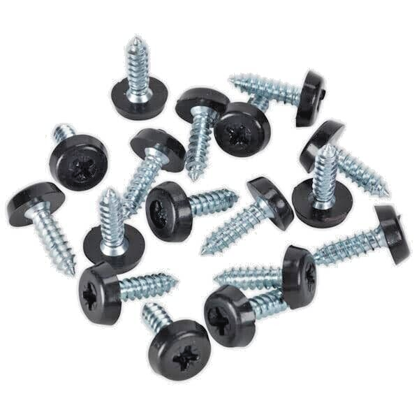 Registration Plate Fixing Kit  - Plastic Cap Screws x4 Moulded Head Self Thread.8