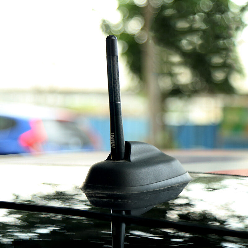 Carbon Roof Aerial Antenna I 8