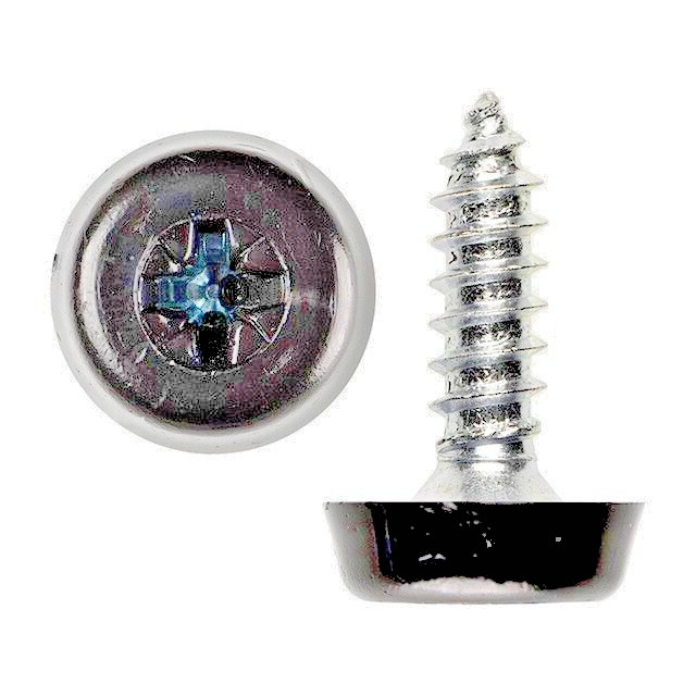 Registration Plate Fixing Kit  - Plastic Cap Screws x4 Moulded Head Self Thread.9