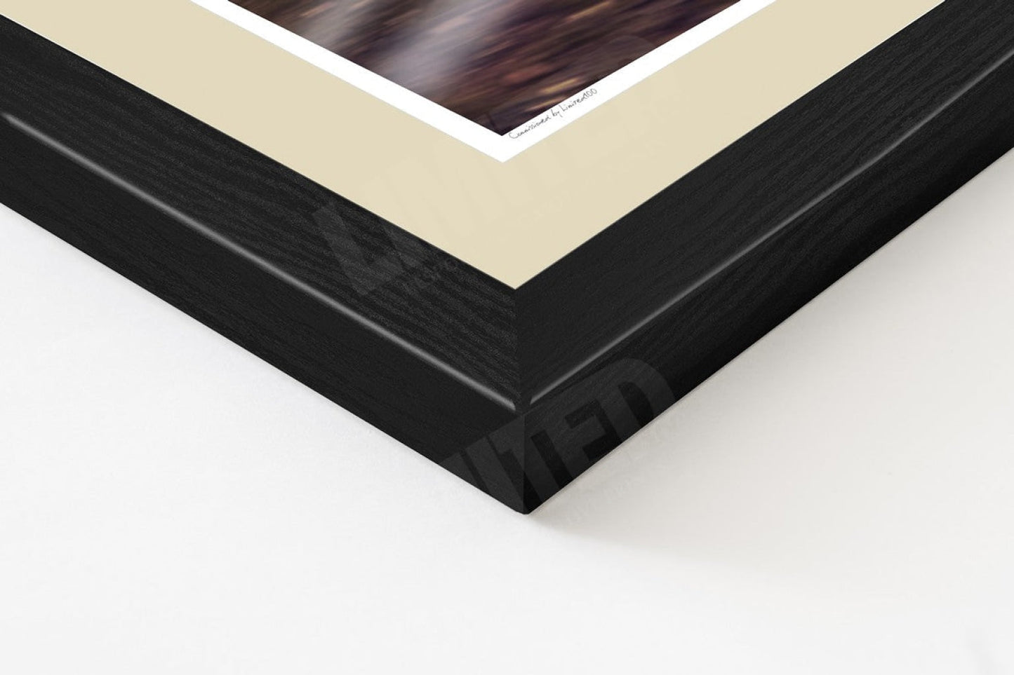 Porsche 993 Turbo (detail)