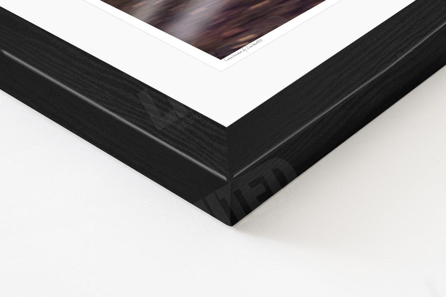 Porsche 993 Turbo (detail)