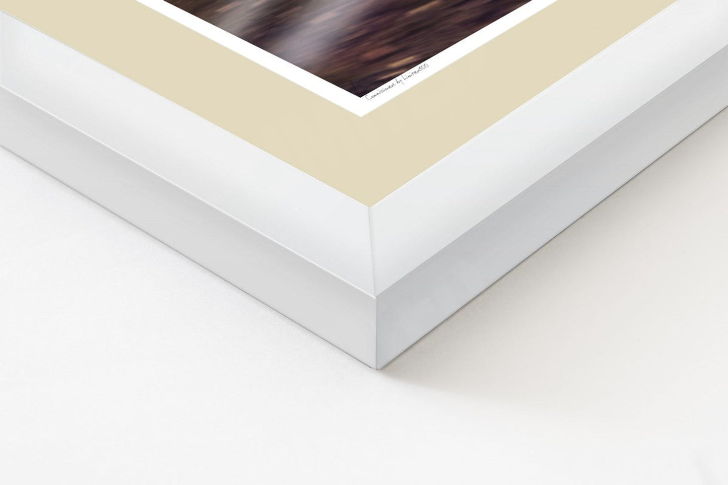 Porsche 935 Martini Racing (C-pillar)