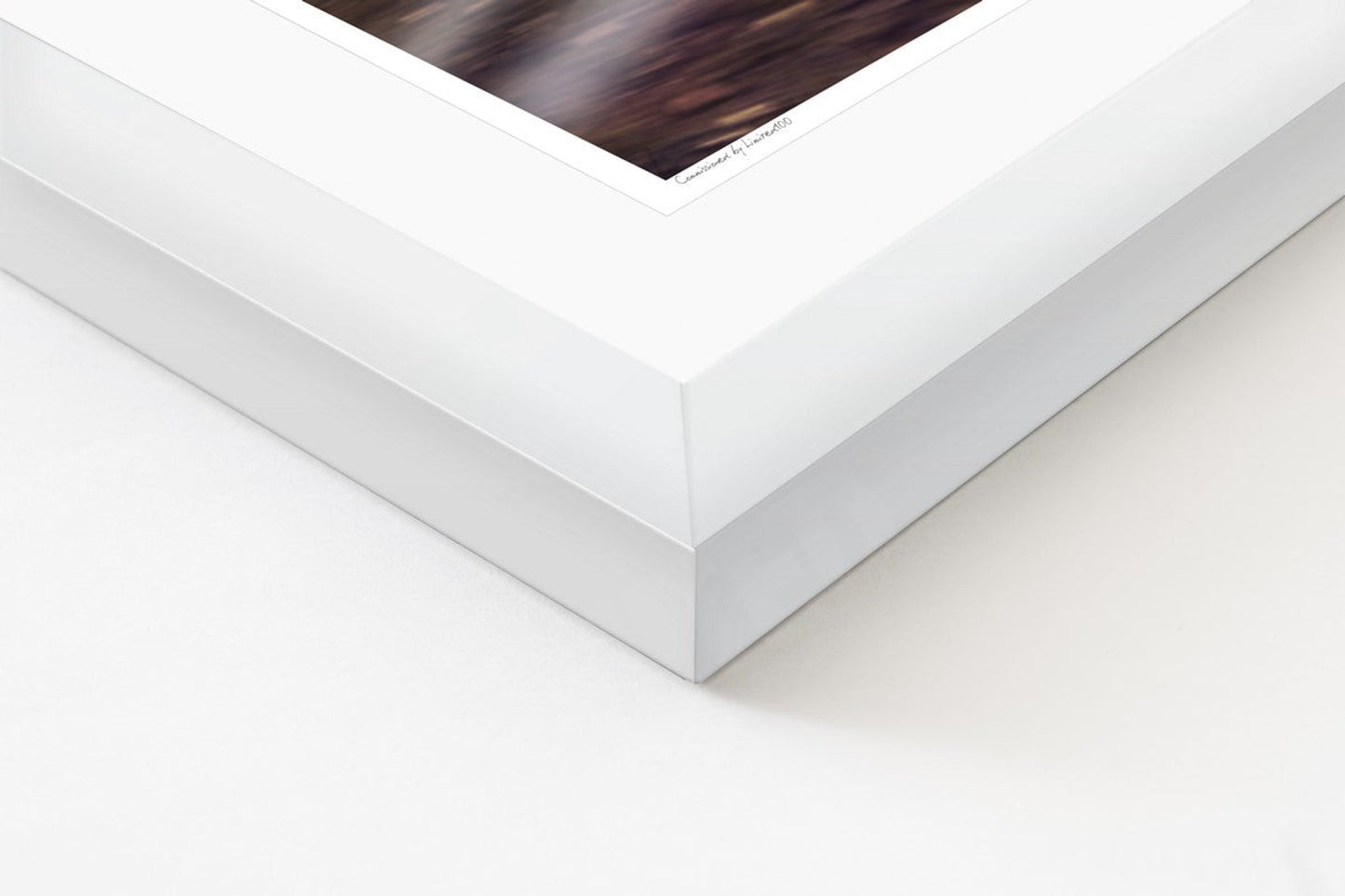 Porsche 935 Martini Racing (rear quarter)