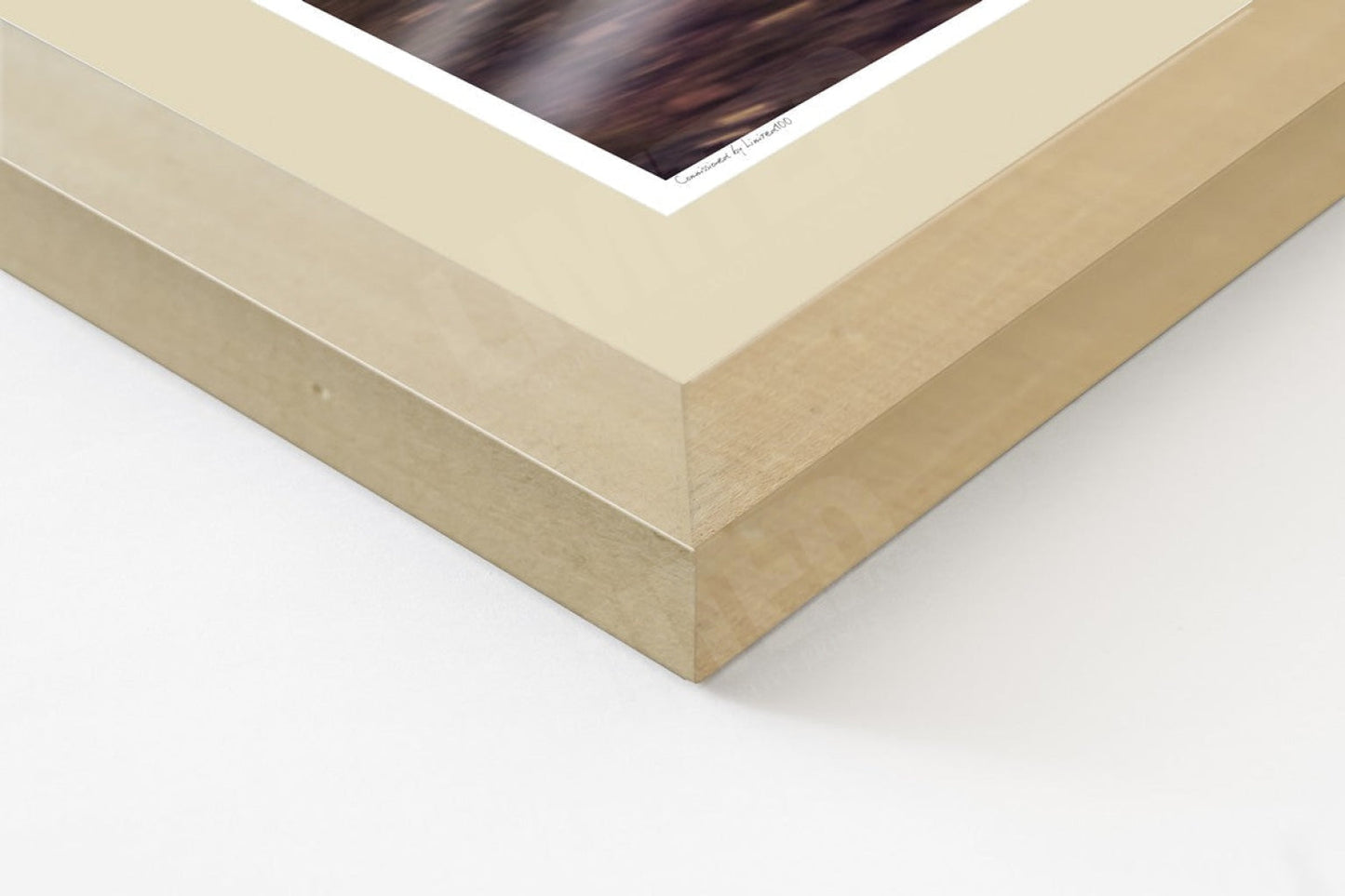 Porsche 993 Turbo (detail)